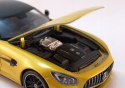 MERCEDES-BENZ AMG GT R model 1:24 WELLY 24081