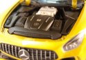 MERCEDES-BENZ AMG GT R model 1:24 WELLY 24081