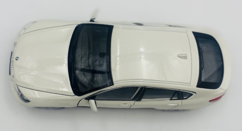 BMW X6 5.0 xDrive E71 model 24004 Welly 1:24 biały